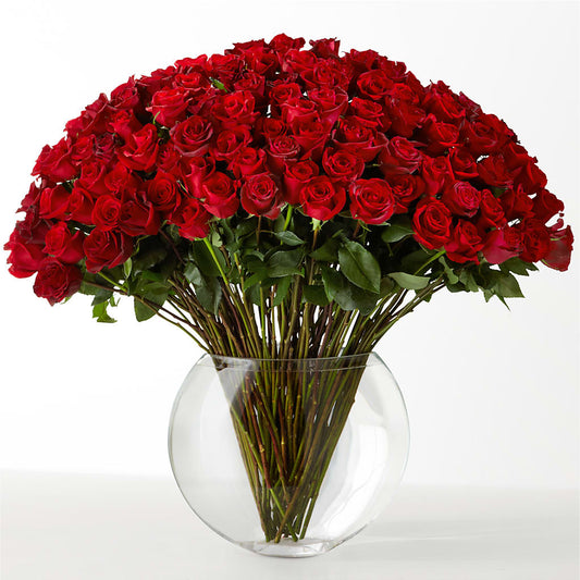 The Idealist –  Halstead Floral At The Plaza, Halstead KS
