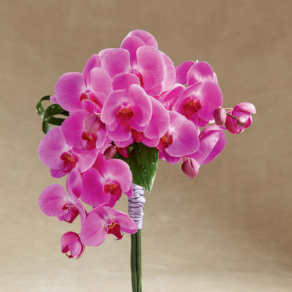 Glorious Bouquet –  Halstead Floral At The Plaza, Halstead KS