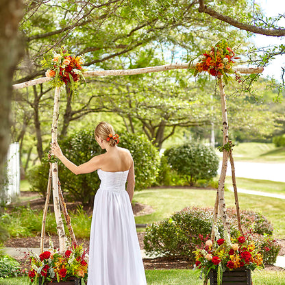 Arbor of Love Archway –  Halstead Floral At The Plaza, Halstead KS
