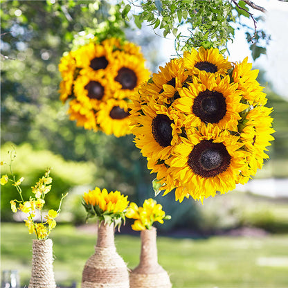 Sublime Garden Hanging Arrangement –  Halstead Floral At The Plaza, Halstead KS