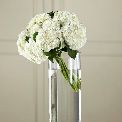 White Hydrangea Hand-Tied Bouquet –  Halstead Floral At The Plaza, Halstead KS