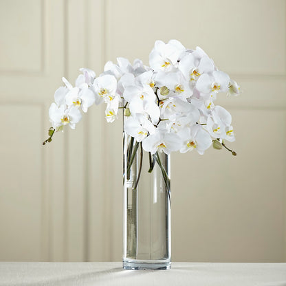 White Phalaenopsis Bouquet –  Halstead Floral At The Plaza, Halstead KS