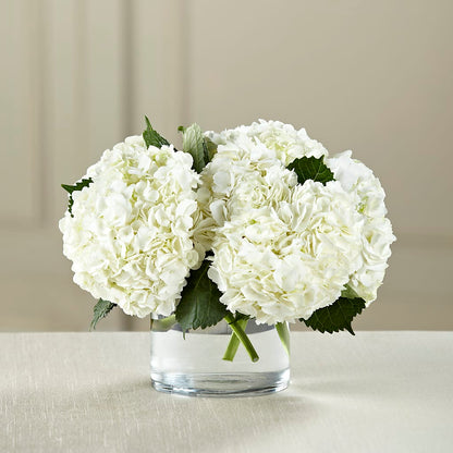 White Hydrangea Bouquet –  Halstead Floral At The Plaza, Halstead KS