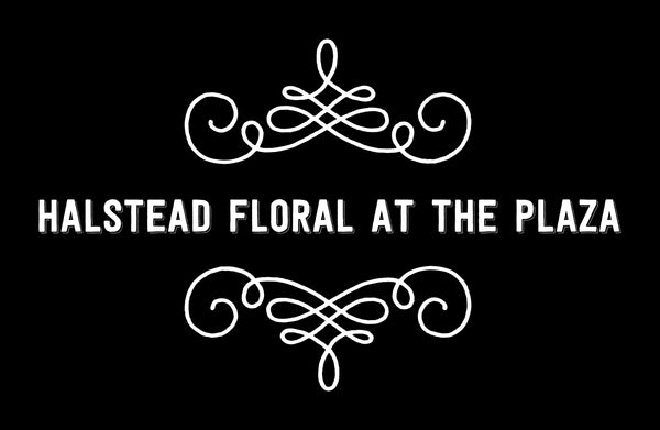 Halstead Floral at the Plaza